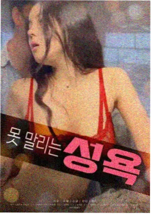 小姐 电影海报
